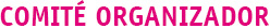 Comit&eacute; Organizador