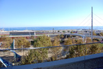 05.jpg
